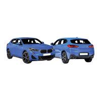 BMW  X2  F39 MSPORT