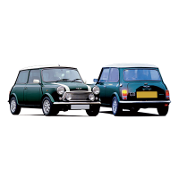 MINI  MINI