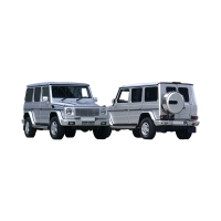 MERCEDES  G CLASS (W463)