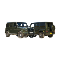 MERCEDES  G CLASS (W463A)